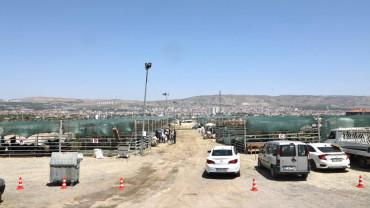 ELAZIĞ BELEDİYESİ, KURBAN SATIŞ VE KESİM NOKTASINDA HAZIRLIKLARINI TAMAMLADI
