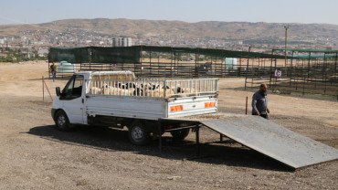Kurban Satış ve Kesim Alanı Hazır