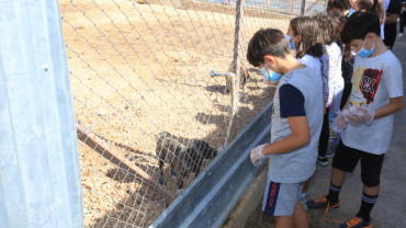 Minikler, 4 Ekim Dünya Hayvanları Koruma Günü'nde Can Dostlarımızı Unutmadı
