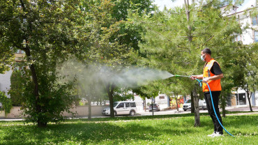 Elazığ Belediyesi, İlaçlama Çalışmalarını Aralıksız Sürdürüyor