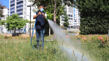 Elazığ Belediyesi'nden Kurban Bayramı Öncesinde Kent Genelinde İlaçlama Çalışması