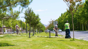 Elazığ Belediyesi'nden Yeşil Alanlarda Yaz Temizliği ve Bakımı
