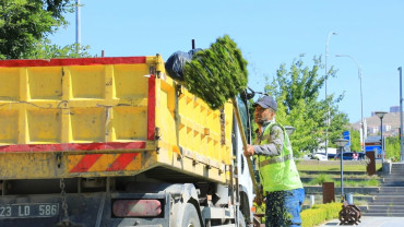 Elazığ Belediyesi'nden Millet Bahçesi'nde Kapsamlı Düzenleme Çalışması
