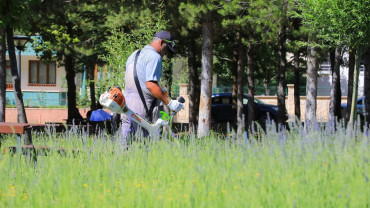 Elazığ Belediyesi'nden Millet Bahçesi'nde Kapsamlı Düzenleme Çalışması