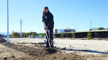 Doğu Park'ta Sona Doğru