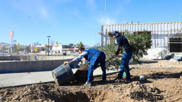 Doğu Park'ta Sona Doğru