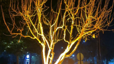 Elazığ Kent Konseyi Kadın Meclisi Sahada