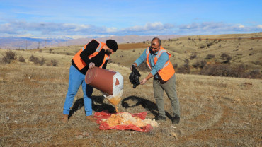 Elazığ Belediyesi Doğaya Yem Bıraktı