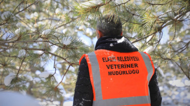 Elazığ Belediyesi'nden Doğadaki Canlara Şefkat Eli