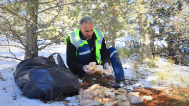 Elazığ Belediyesi'nden Doğadaki Canlara Şefkat Eli