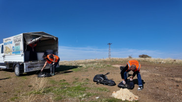 Elazığ Belediyesi'nden Sokak Hayvanlarına Ve Yaban Hayatına Kış Desteği