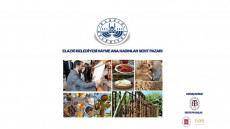 Hayme Ana Kadınlar Semt Pazarı Başvuru Duyurusu