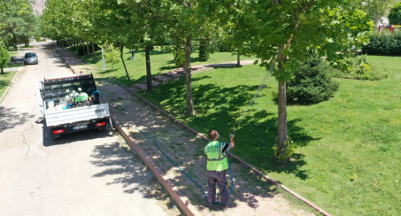 İlaçlama Çalışmaları Devam Ediyor