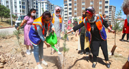 Kadın Meclisi'nden Ağaç ve Fidan Dikme Etkinliği
