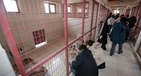 Veteriner Fakültesi Öğrencilerinden Elazığ Belediyesi Hayvan Hastanesi'ne Ziyaret