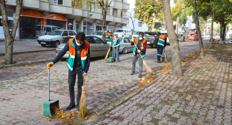 Yeni Mahalle'de Sonbahar Temizliği