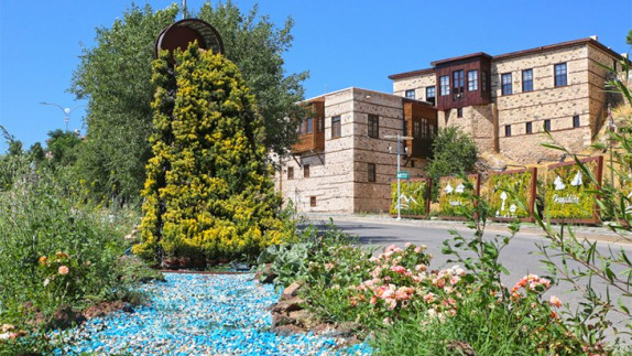 Dikey Bahçeler Projesi