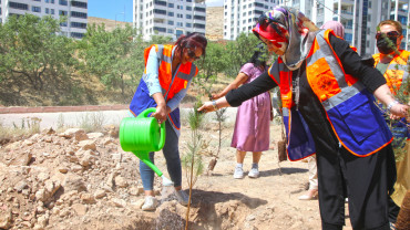 Elazığ Belediyesi Gençlik Ve Kadın Meclisleri