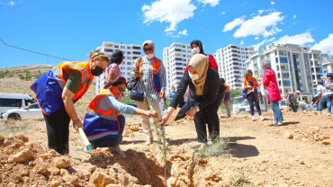 Elazığ Belediyesi Gençlik Ve Kadın Meclisleri