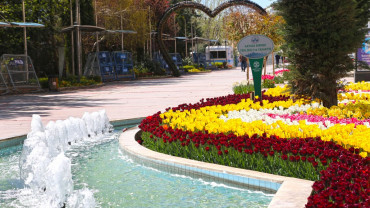 Dikey Bahçeler Projesi