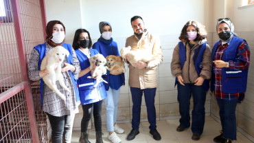 Elazığ Belediyesi Gençlik Ve Kadın Meclisleri