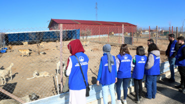 Elazığ Belediyesi Gençlik Ve Kadın Meclisleri
