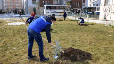 Elazığ Belediyesi Gençlik Ve Kadın Meclisleri