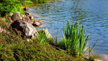 Çalgan Deresi Biyolojik Gölet Ve Botanik Vadi Park Projesi