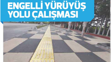 Engelsiz Yollar Projesi