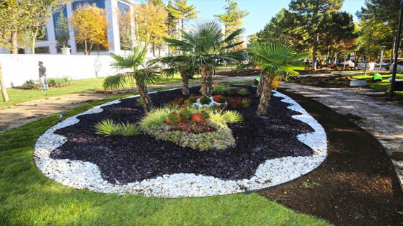 Yeşil Kuşak Projemiz 13.12.2020