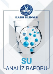 13/08/2020 Tarihli Su Analiz Raporu
