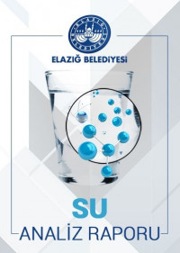 13/08/2020 Tarihli Su Analiz Raporu