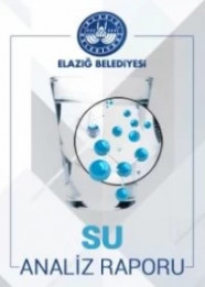17/02/2025 Tarihli Su Analiz Raporu