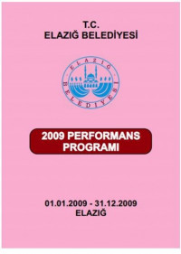 2009 Performans Programı