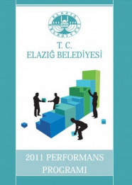 2011 Performans Programı
