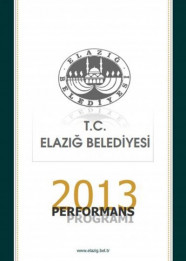 2013 Perforans Programı