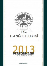 2013 Perforans Programı