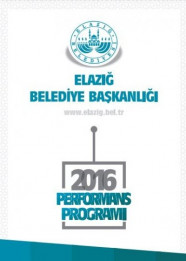 2016 Performans Programı