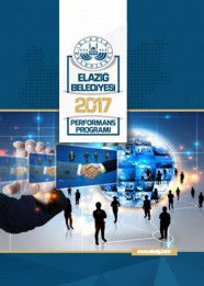2017 Performans Programı