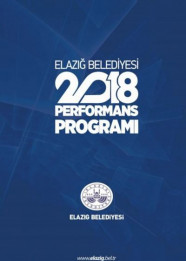 2018 Performans Programı