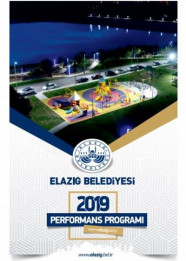 2019 Performans Programı