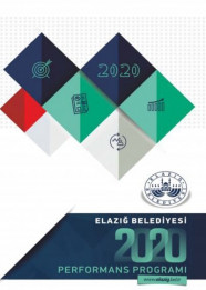 2020 Performans Programı