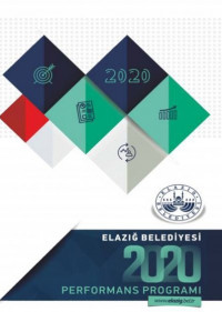 2020 Performans Programı