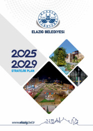 2025 - 2029 Stratejik Plan