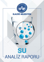 21/08/2020 Tarihli Su Analiz Raporu