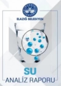 26/02/2021 Tarihli Su Analiz Raporu