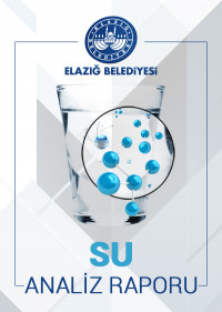 13/12/2019 Tarihli Su Analiz Raporu