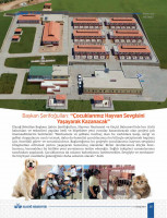 2019 Kasım Ayı Elazığ Bülteni